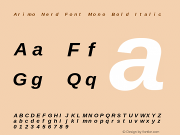 Arimo Bold Italic Nerd Font Complete Mono Version 1.23 Font Sample