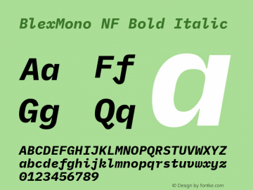 Blex Mono Bold Italic Nerd Font Complete Windows Compatible Version 2.000 Font Sample