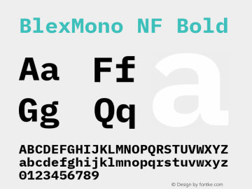 Blex Mono Bold Nerd Font Complete Mono Windows Compatible Version 2.000 Font Sample