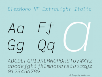 Blex Mono ExtraLight Italic Nerd Font Complete Windows Compatible Version 2.000 Font Sample