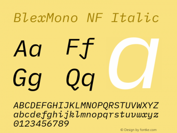 Blex Mono Italic Nerd Font Complete Mono Windows Compatible Version 2.000 Font Sample