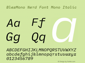 Blex Mono Italic Nerd Font Complete Mono Version 2.000图片样张