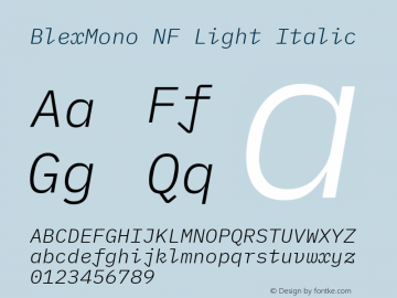 Blex Mono Light Italic Nerd Font Complete Mono Windows Compatible Version 2.000 Font Sample