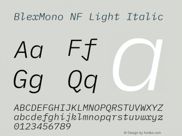 Blex Mono Light Italic Nerd Font Complete Windows Compatible Version 2.000 Font Sample