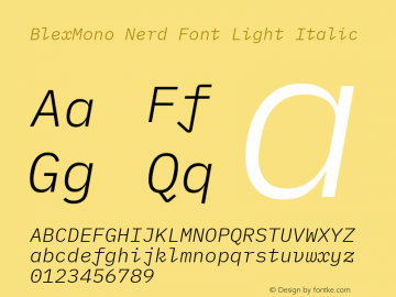 Blex Mono Light Italic Nerd Font Complete Version 2.000图片样张