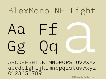 Blex Mono Light Nerd Font Complete Windows Compatible Version 2.000 Font Sample