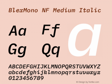 Blex Mono Medium Italic Nerd Font Complete Mono Windows Compatible Version 2.000 Font Sample