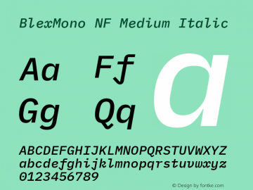 Blex Mono Medium Italic Nerd Font Complete Windows Compatible Version 2.000 Font Sample