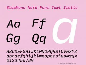 Blex Mono Text Italic Nerd Font Complete Version 2.000 Font Sample