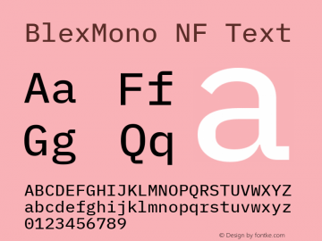 Blex Mono Text Nerd Font Complete Windows Compatible Version 2.000图片样张