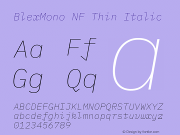 Blex Mono Thin Italic Nerd Font Complete Mono Windows Compatible Version 2.000 Font Sample