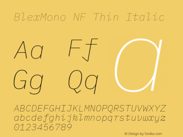 Blex Mono Thin Italic Nerd Font Complete Windows Compatible Version 2.000 Font Sample