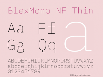 Blex Mono Thin Nerd Font Complete Windows Compatible Version 2.000 Font Sample