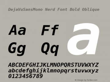 DejaVu Sans Mono Bold Oblique Nerd Font Complete Version 2.37图片样张