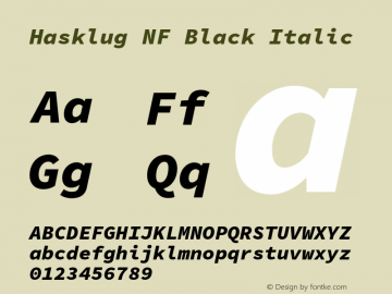 Hasklug Black Italic Nerd Font Complete Mono Windows Compatible Version 1.050;PS 1.0;hotconv 16.6.51;makeotf.lib2.5.65220图片样张