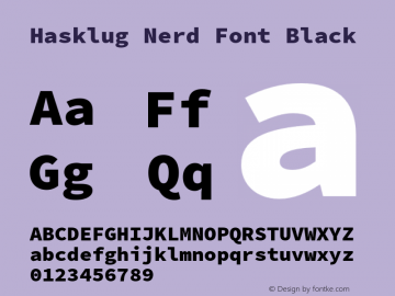 Hasklug Black Nerd Font Complete Version 2.030;PS 1.0;hotconv 16.6.51;makeotf.lib2.5.65220 Font Sample