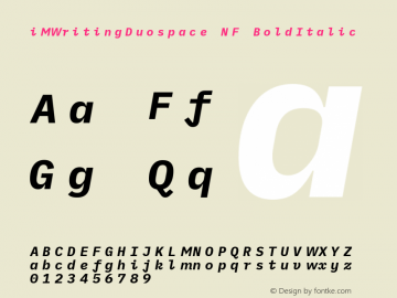 iM Writing Duospace BoldItalic Nerd Font Complete Mono Windows Compatible Version 1.005图片样张