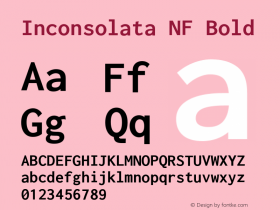 Inconsolata Bold Nerd Font Complete Windows Compatible Version 2.012 Font Sample