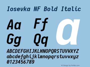 Iosevka Bold Italic Nerd Font Complete Windows Compatible 2.1.0; ttfautohint (v1.8.2) Font Sample