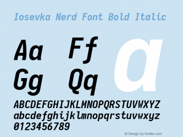 Iosevka Bold Italic Nerd Font Complete 2.1.0; ttfautohint (v1.8.2) Font Sample