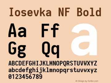 Iosevka Bold Nerd Font Complete Mono Windows Compatible 2.1.0; ttfautohint (v1.8.2) Font Sample