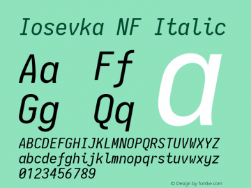 Iosevka Italic Nerd Font Complete Mono Windows Compatible 2.1.0; ttfautohint (v1.8.2) Font Sample