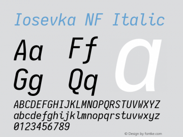Iosevka Italic Nerd Font Complete Windows Compatible 2.1.0; ttfautohint (v1.8.2) Font Sample