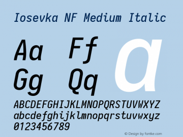 Iosevka Medium Italic Nerd Font Complete Mono Windows Compatible 2.1.0; ttfautohint (v1.8.2) Font Sample