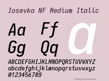 Iosevka Medium Italic Nerd Font Complete Windows Compatible 2.1.0; ttfautohint (v1.8.2) Font Sample