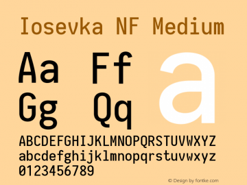 Iosevka Medium Nerd Font Complete Mono Windows Compatible 2.1.0; ttfautohint (v1.8.2)图片样张