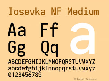 Iosevka Medium Nerd Font Complete Mono Windows Compatible 2.1.0; ttfautohint (v1.8.2) Font Sample