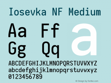 Iosevka Medium Nerd Font Complete Windows Compatible 2.1.0; ttfautohint (v1.8.2) Font Sample