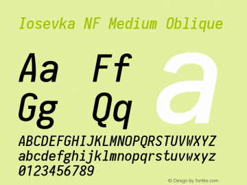Iosevka Medium Oblique Nerd Font Complete Windows Compatible 2.1.0; ttfautohint (v1.8.2)图片样张
