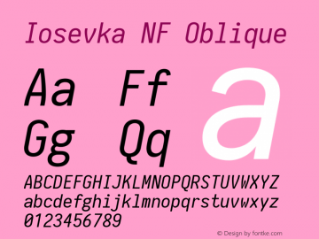Iosevka Oblique Nerd Font Complete Mono Windows Compatible 2.1.0; ttfautohint (v1.8.2)图片样张
