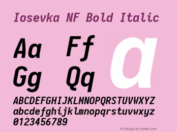 Iosevka Term Bold Italic Nerd Font Complete Windows Compatible 2.1.0; ttfautohint (v1.8.2) Font Sample