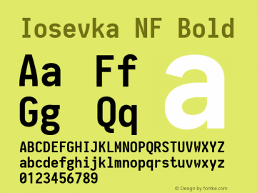 Iosevka Term Bold Nerd Font Complete Mono Windows Compatible 2.1.0; ttfautohint (v1.8.2) Font Sample