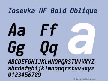 Iosevka Term Bold Oblique Nerd Font Complete Windows Compatible 2.1.0; ttfautohint (v1.8.2) Font Sample