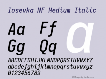 Iosevka Term Medium Italic Nerd Font Complete Mono Windows Compatible 2.1.0; ttfautohint (v1.8.2)图片样张