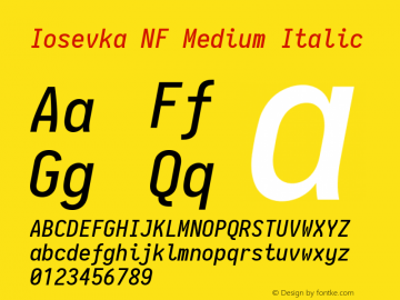 Iosevka Term Medium Italic Nerd Font Complete Windows Compatible 2.1.0; ttfautohint (v1.8.2)图片样张