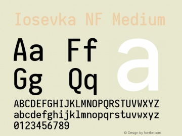 Iosevka Term Medium Nerd Font Complete Windows Compatible 2.1.0; ttfautohint (v1.8.2)图片样张