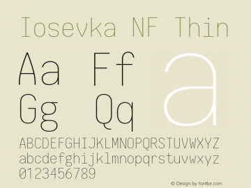 Iosevka Term Thin Nerd Font Complete Mono Windows Compatible 2.1.0; ttfautohint (v1.8.2) Font Sample