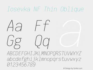 Iosevka Term Thin Oblique Nerd Font Complete Mono Windows Compatible 2.1.0; ttfautohint (v1.8.2) Font Sample