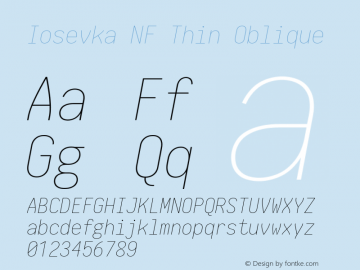 Iosevka Term Thin Oblique Nerd Font Complete Windows Compatible 2.1.0; ttfautohint (v1.8.2)图片样张