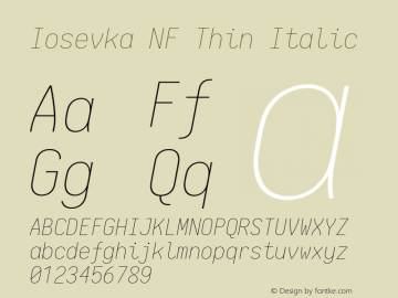 Iosevka Thin Italic Nerd Font Complete Windows Compatible 2.1.0; ttfautohint (v1.8.2)图片样张