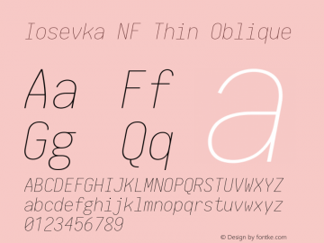 Iosevka Thin Oblique Nerd Font Complete Mono Windows Compatible 2.1.0; ttfautohint (v1.8.2)图片样张