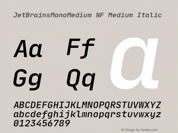 JetBrains Mono Medium Med Ita Nerd Font Complete Windows Compatible Version 1.0.2; ttfautohint (v1.8.3) Font Sample