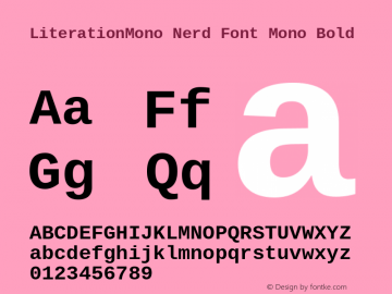 Literation Mono Bold Nerd Font Complete Mono Version 2.00.5 Font Sample