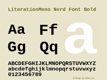 Literation Mono Bold Nerd Font Complete Version 2.00.5 Font Sample
