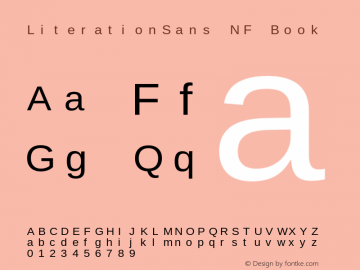 Literation Sans Nerd Font Complete Mono Windows Compatible Version 2.00.5 Font Sample
