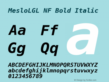 Meslo LG L Bold Italic Nerd Font Complete Mono Windows Compatible 1.210图片样张